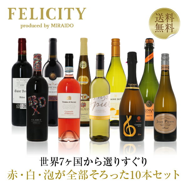 500円OFFクーポン対象 【19】赤・白・スパークリング パーティー10本セット 第19弾 750ml×10 飲み比べ ワイン セット 【送料無料】【包装不可】