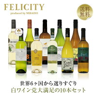 500円OFFクーポン対象 白ワイン選りすぐり パーティー10本セット 第23弾 750ml×10 飲み比べ ワイン セット 【包装不可】