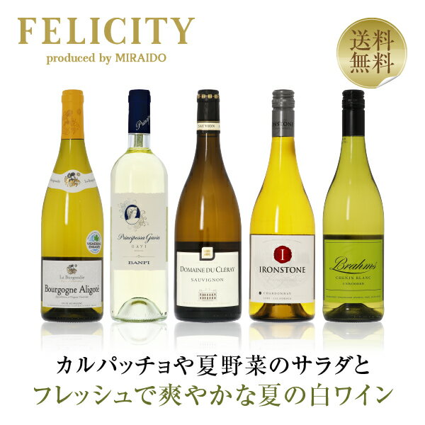 ワイン飲み比べセット 400円OFFクーポン対象 【2】季節と楽しむワイン！ 初夏の白ワイン 5本セット 第1弾 750ml×5 飲み比べ 白 ワイン セット 包装不可