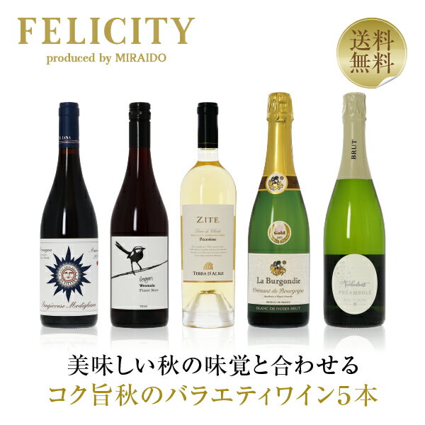 400円OFFクーポン対象 【3】季節と楽しむワイン！ 初夏のバラエティ5本セット 第1弾 750ml×5 飲み比べ 赤ワイン 白ワイン スパークリングワイン ワイン セット 【送料無料】【包装不可】