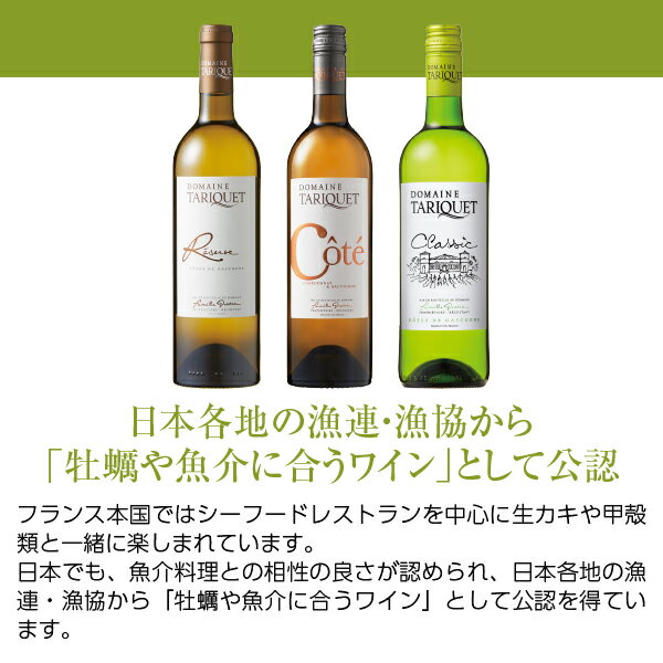 ������̵���� �ɥ᡼�� ���ꥱ ������� 3�ܥ��å� 750ml��3 ������� ��磻�� ���å� �����Բ�