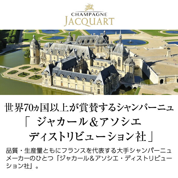 【送料無料】 ジャカール モザイク ブリュット 白 正規 箱なし 750ml シャルドネ フランス シャンパン シャンパーニュ ledled-10014267 酒類の総合専門店 フェリシティー サンプル画像2