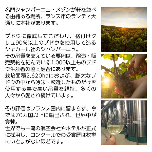 【送料無料】 ジャカール モザイク ブリュット 白 正規 箱なし 750ml シャルドネ フランス シャンパン シャンパーニュ ledled-10014267 酒類の総合専門店 フェリシティー サンプル画像3