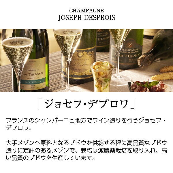 シャンパーニュ ジョセフ デプロワ 箱なし 750ml シャンパン シャンパーニュ フランス ledled-10013857 酒類の総合専門店 フェリシティー サンプル画像2