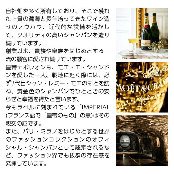 モエ エ シャンドン（モエ・エ・シャンドン モエシャンドン） グラン ヴィンテージ 2013 並行 箱付 750ml 包装不可 モエシャンドン シャンパン シャンパーニュ フランス ledled-10007949 酒類の総合専門店 フェリシティー サンプル画像3