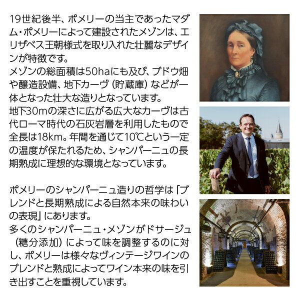 ポメリー ブリュット ロワイヤル （ポメリー・ ブリュット・ロワイヤル） 750ml 並行 シャンパン シャンパーニュ フランス 包装不可 ledled-10000014 酒類の総合専門店 フェリシティー サンプル画像3