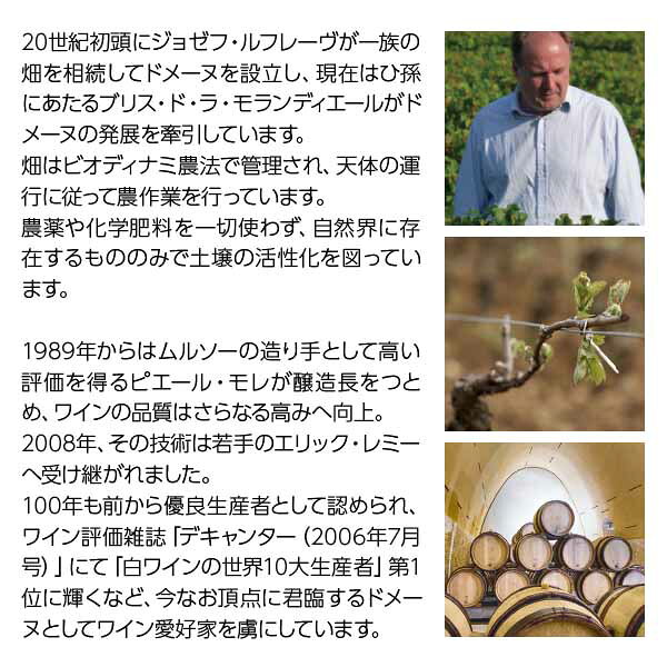【送料無料】ドメーヌ ルフレーヴ ピュリニー モンラッシェ プルミエ クリュ レ ピュセル 2022 750ml白ワイン シャルドネ フランス ブルゴーニュ ledled-10021622 酒類の総合専門店 フェリシティー サンプル画像3