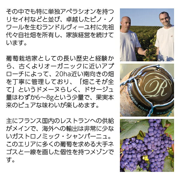 【よりどり6本以上送料無料】 ロワイエ エ フィス シャンパーニュ ロゼ ブリュット NV 箱なし 750ml シャンパン シャンパーニュ ピノ ノワール フランス ledled-10021604 酒類の総合専門店 フェリシティー サンプル画像3