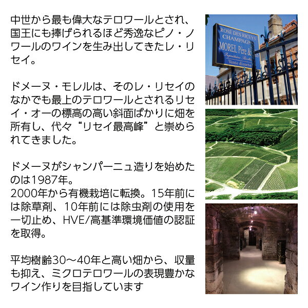 【よりどり6本以上送料無料】 ドメーヌ モレル ペール エ フィス シャンパーニュ ピュール ロゼ 箱なし 750ml シャンパン シャンパーニュ ピノ ノワール フランス ledled-10022078 酒類の総合専門店 フェリシティー サンプル画像3