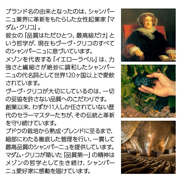ヴーヴ クリコ（ヴーヴ・クリコ）（ヴーヴ クリコ）（ブーブ クリコ） ロゼ ヴィンテージ 2015 箱なし 750ml 正規 シャンパン シャンパーニュ フランス ledled-10022251 酒類の総合専門店 フェリシティー サンプル画像3