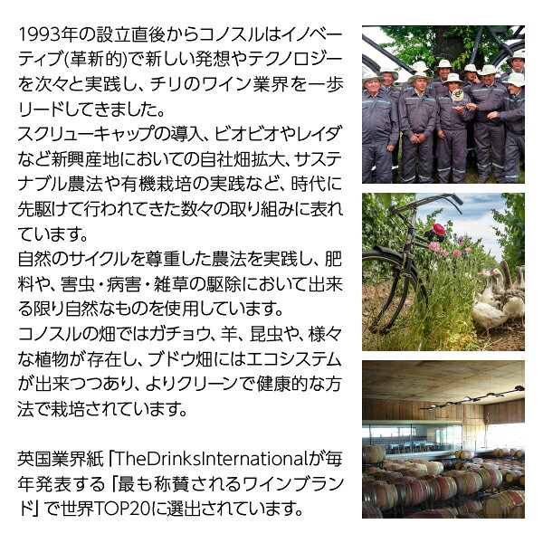 【よりどり12本送料無料】 コノスル ビシクレ...の紹介画像3