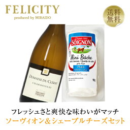 【送料無料】 ソーヴィオン＆シェーブルチーズセット 750ml チーズ ワイン セット 包装不可 クール代込