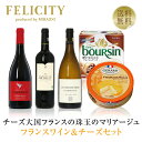 【送料無料】 チーズ大国フランスが誇る珠玉のマリアージュ ワイン＆チーズセット 750ml×3 飲み比べ チーズ ワイン セット 包装不可 クール代込