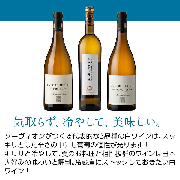 【送料無料】 夏の辛口白ワイン ソーヴィオン ロワールの白ワイン3種飲み比べ 3本セット 750ml×3 白 ワイン セット wine wain 包装不可 ledled-10032891 酒類の総合専門店 フェリシティー サンプル画像3