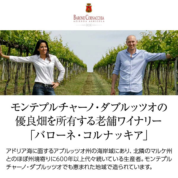 酒類の総合専門店 フェリシティーの【よりどり6本以上送料無料】 バローネ コルナッキア モンテプルチャーノ ダブルッツォ ヴィーニャ レ コステ 2019 750ml 赤ワイン イタリア｜アングル2
