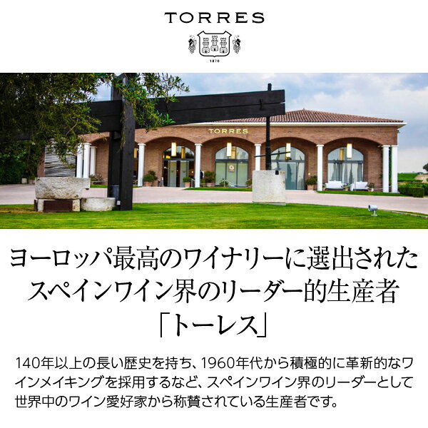 酒類の総合専門店 フェリシティーの【よりどり6本以上送料無料】 トーレス サングレ デ トロ ロゼ 2024 750ml ロゼワイン ガルナッチャ スペイン｜アングル2