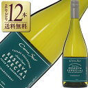 【よりどり12本送料無料】 コノスル シャルドネ レゼルバ エスペシャル 2021 750ml 白ワイン チリ