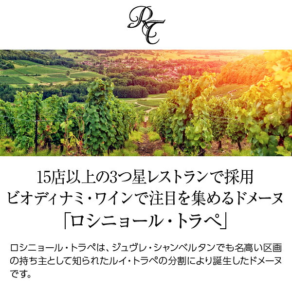 【よりどり6本以上送料無料】 ロシニョール トラペ ジュヴレ（ジュブレ） シャンベルタン ヴィエイユ ヴィーニュ 2022 750ml 赤ワイン ピノ ノワール フランス ブルゴーニュ ledled-10024854 酒類の総合専門店 フェリシティー サンプル画像2