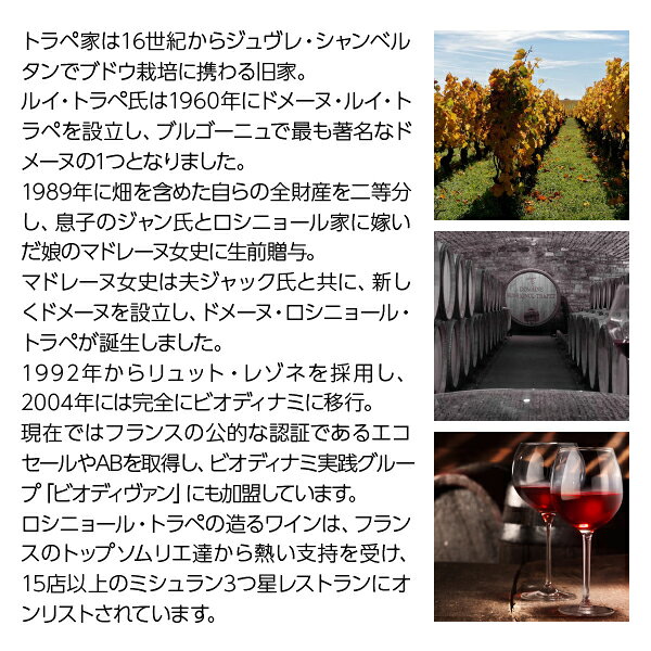 【よりどり6本以上送料無料】 ロシニョール トラペ ジュヴレ（ジュブレ） シャンベルタン ヴィエイユ ヴィーニュ 2022 750ml 赤ワイン ピノ ノワール フランス ブルゴーニュ ledled-10024854 酒類の総合専門店 フェリシティー サンプル画像3