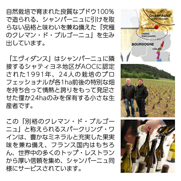 ポイント5倍 【よりどり6本以上送料無料】 エヴィダンス by LVHB （レ ヴィニュロン ド オート ブルゴーニュ） クレマン ド ブルゴーニュ ブラン ド ブラン（旧キュヴェ シャルドネ） NV 750ml スパークリングワイン シャルドネ フランス ledled-10026547 酒類の総合専門店 フェリシティー サンプル画像3