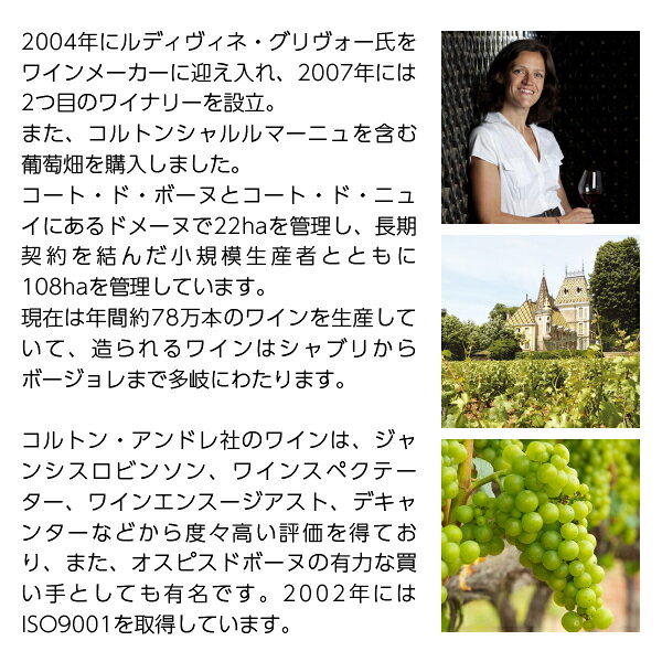 【よりどり6本以上送料無料】 アンリ ド ブルソー シャブリ 2024 750ml 白ワイン シャルドネ フランス ブルゴーニュ ledled-10026537 酒類の総合専門店 フェリシティー サンプル画像3