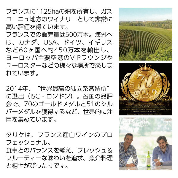 ドメーヌ タリケ アルマニャック XO 40度 箱付 700ml