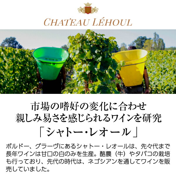 【よりどり6本以上送料無料】 シャトー レオール グラーヴ ブラン 2022 750ml 白ワイン ソーヴィニヨン ブラン フランス ボルドー ledled-10028293 酒類の総合専門店 フェリシティー サンプル画像2