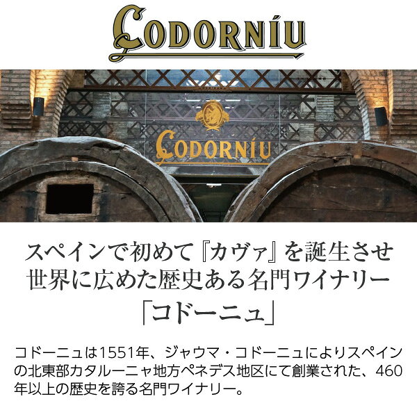 よりどり6本以上送料無料 コドーニュ（コドルニウ） バルセロナ 1872 ロゼ オーガニック 750ml スパークリングワイン スペイン ledled-10028273 酒類の総合専門店 フェリシティー サンプル画像2