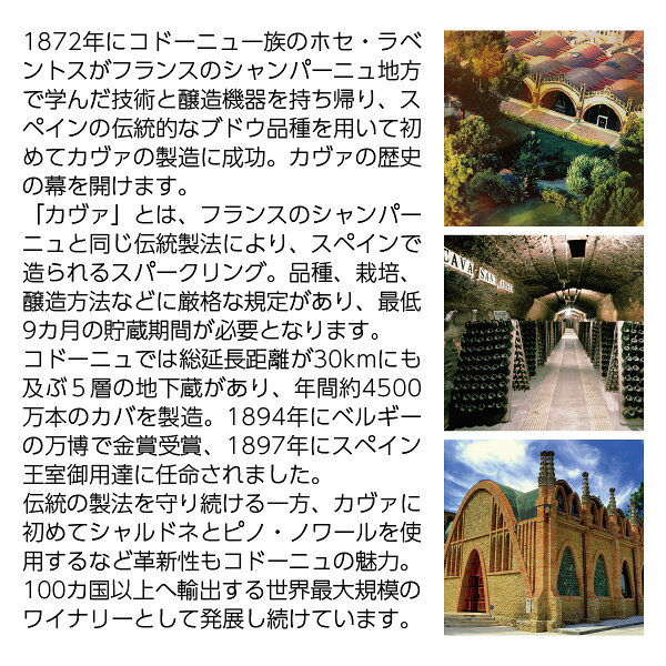 よりどり6本以上送料無料 コドーニュ（コドルニウ） バルセロナ 1872 ロゼ オーガニック 750ml スパークリングワイン スペイン ledled-10028273 酒類の総合専門店 フェリシティー サンプル画像3