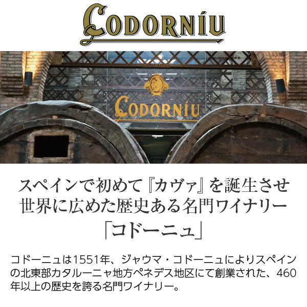 【よりどり6本以上送料無料】【ハーフ】 コドー...の紹介画像2