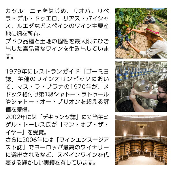 【よりどり6本以上送料無料】 トーレス サング...の紹介画像3