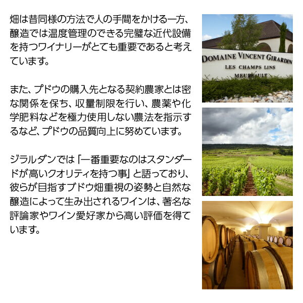 【よりどり6本以上送料無料】 ヴァンサン ジラルダン サントネ ブラン レ ヴィエイユ ヴィーニュ 2022 750ml 白ワイン フランス ブルゴーニュ