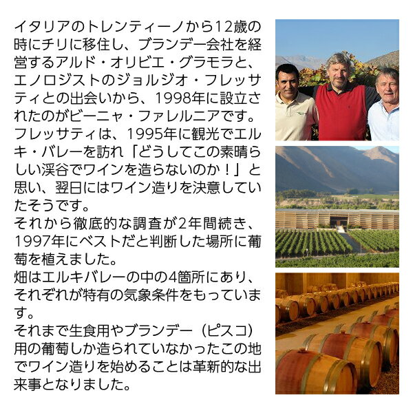 �ڤ��ɤ�6�ܰʾ�����̵���� �ӡ��˥� �ե����˥� ���顼 �쥻��� �ƥ��ȥ� ���󥰥� ������䡼�� 2019 750ml �֥磻�� ����