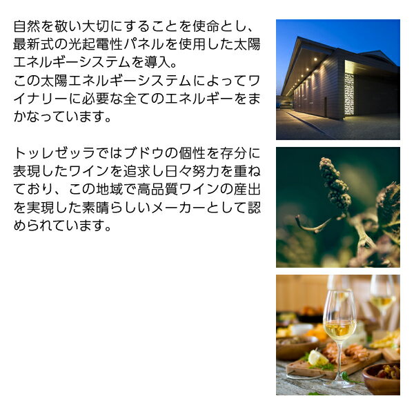 ショップ オブ ザ イヤー 2023ワイン大賞受賞