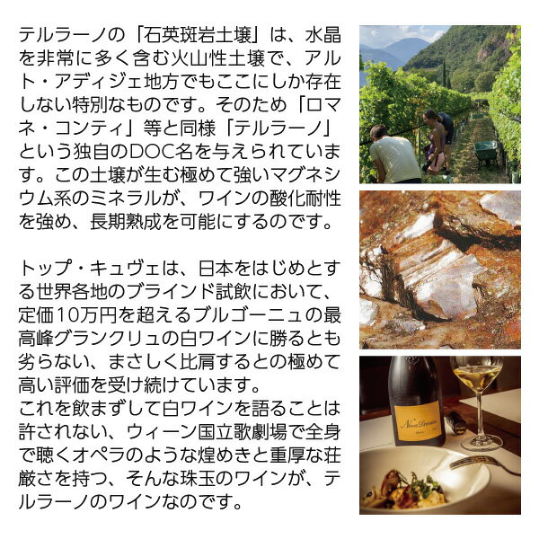 【よりどり3本以上送料無料】 テルラン(テルラ...の紹介画像3