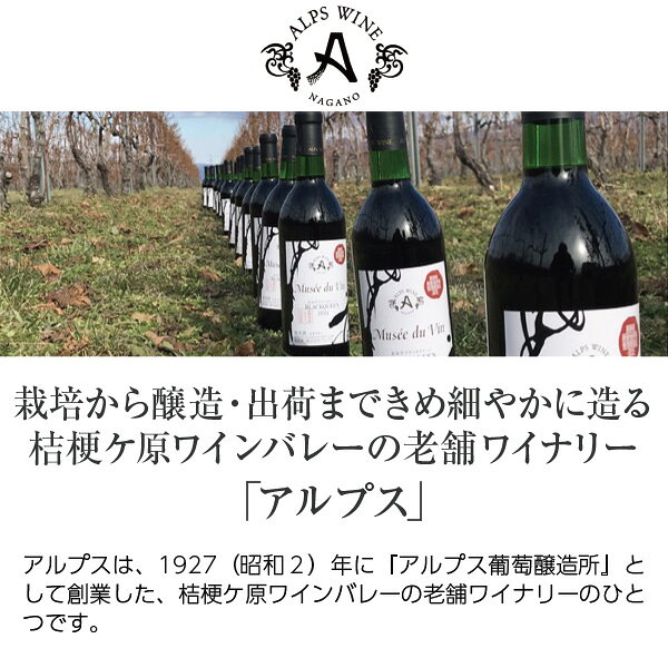 アルプス ワイン ヴァン フリー 赤 ノンアルコール 酸化防止剤無添加 720ml ノンアルコールワイン 日本 赤ワイン