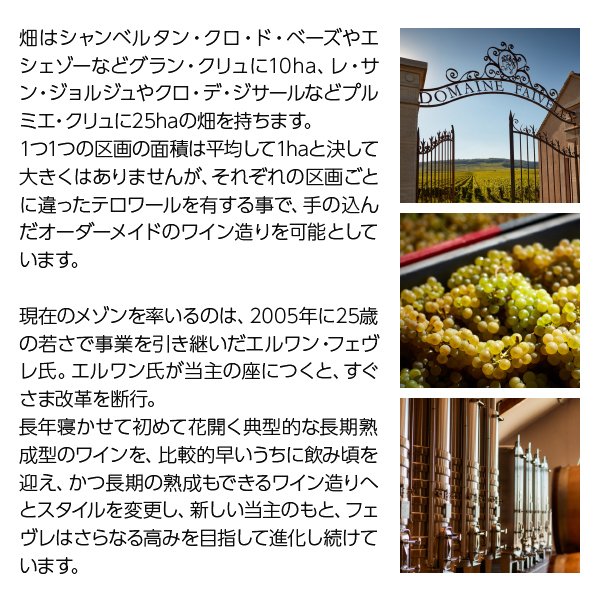 フェヴレ ブルゴーニュ シャルドネ 2022 750ml 白ワイン フランス ブルゴーニュ ledled-10031422 酒類の総合専門店 フェリシティー サンプル画像3