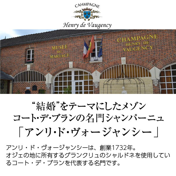 【よりどり6本以上送料無料】 シャンパーニュ アンリ ド ヴォージャンシー キュヴェ デ ザムルー ブリュット グラン クリュ 750ml シャンパン シャンパーニュ シャルドネ フランス ledled-10032049 酒類の総合専門店 フェリシティー サンプル画像2