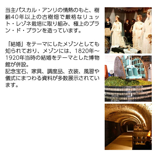 【よりどり6本以上送料無料】 シャンパーニュ アンリ ド ヴォージャンシー キュヴェ デ ザムルー ブリュット グラン クリュ 750ml シャンパン シャンパーニュ シャルドネ フランス ledled-10032049 酒類の総合専門店 フェリシティー サンプル画像3