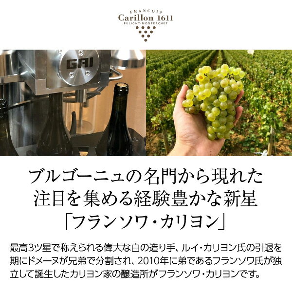 フランソワ カリヨン ピュリニー モンラッシェ プルミエ クリュ シャン ガン 2022 750ml 白ワイン シャルドネ フランス ブルゴーニュ ledled-10032317 酒類の総合専門店 フェリシティー サンプル画像2