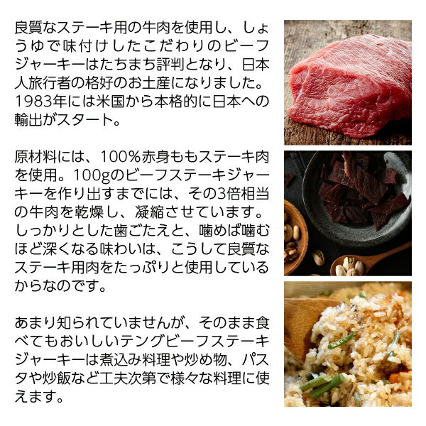 テング ビーフステーキジャーキー ホットペッパー 93g 包装不可 3