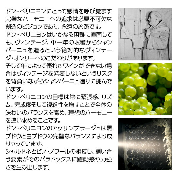 ドンペリニヨン（ドンペリニョン）（ドン・ペリニヨン ピンドン）（モエ・エ・シャンドン） ロゼ 2010 正規 箱なし 750ml シャンパン シャンパーニュ フランス ledled-10032299 酒類の総合専門店 フェリシティー サンプル画像3