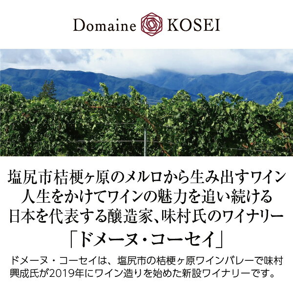 酒類の総合専門店 フェリシティーの【よりどり6本以上送料無料】 ドメーヌ コーセイ 片丘メルロ（メルロー） アメリカンオーク 2022 750ml 赤ワイン 日本ワイン｜アングル2