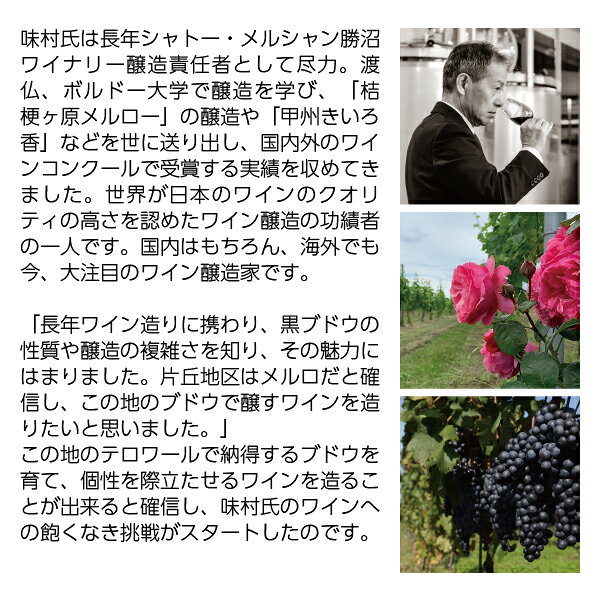 酒類の総合専門店 フェリシティーの【よりどり6本以上送料無料】 ドメーヌ コーセイ 片丘メルロ（メルロー） アメリカンオーク 2022 750ml 赤ワイン 日本ワイン｜アングル3