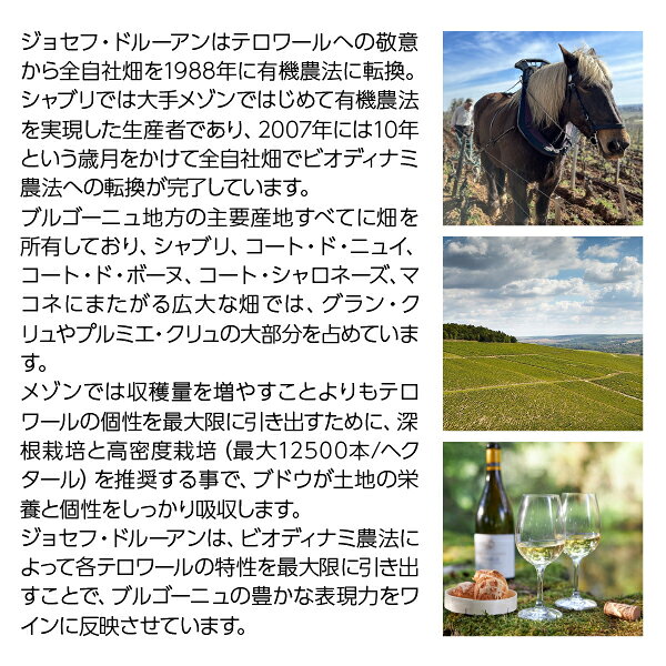 【よりどり6本以上送料無料】 ジョセフ（ジョゼフ） ドルーアン シャブリ レゼルヴ ド ヴォードン 2023 750ml 白ワイン シャルドネ フランス ブルゴーニュ ledled-10032726 酒類の総合専門店 フェリシティー サンプル画像3