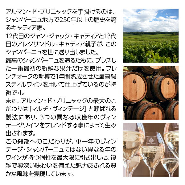 アルマン ド ブリニャック ブリュット ゴールド 正規 箱付 750ml シャンパン シャンパーニュ ピノノワール フランス アルマンド ゴールド アルマン・ド・ブリニャック 6本まで1梱包 ledled-10033592 酒類の総合専門店 フェリシティー サンプル画像3