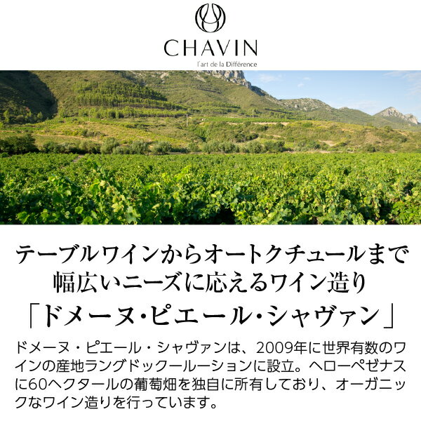 ノンアルコール ドメーヌ ピエール シャヴァン ピエール ゼロ シニャチュール 750ml 白ワイン シャルドネ フランス 2
