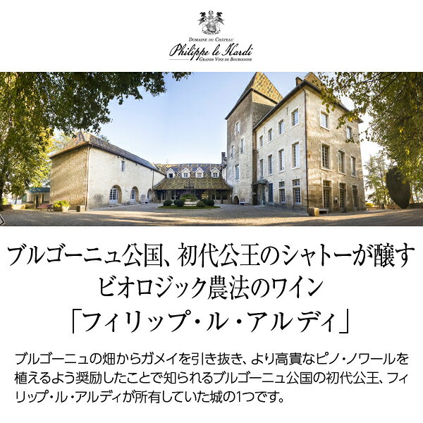 フィリップ ル アルディ ブルゴーニュ コート ドール クロ ド ラ シェーズ デュー ブラン モノポール 2022 750ml 白ワイン シャルドネ フランス ブルゴーニュ ledled-10034033 酒類の総合専門店 フェリシティー サンプル画像2