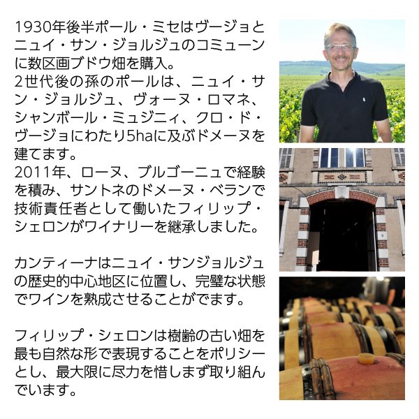 【よりどり3本以上送料無料】 ドメーヌ フィリップ シェロン ジュヴレ シャンベルタン プルミエ クリュ ラ ロマネ 2017 750ml 赤ワイン ピノ ノワール フランス ブルゴーニュ