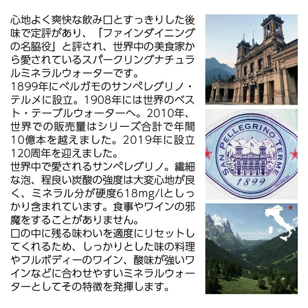 サンペレグリノ 炭酸入りナチュラルミネラルウォ...の紹介画像3